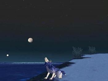 月と海とライガー.jpg